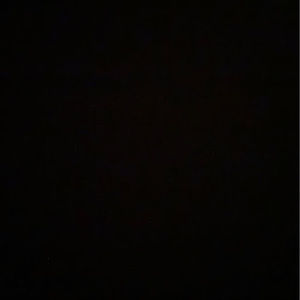 Meet your Posher, Abigail